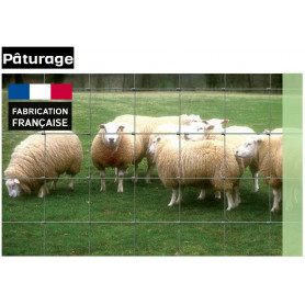 Grillage à moutons (Rouleau 50m)
