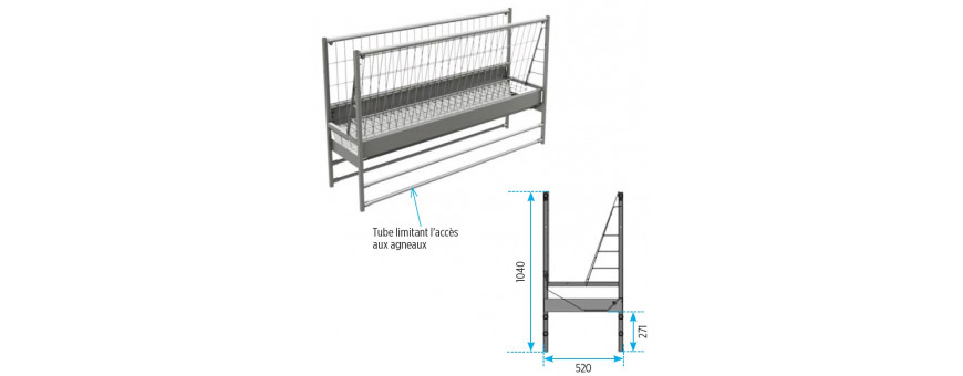 Elevage ovins et caprins