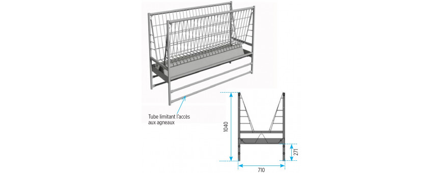 Elevage ovins et caprins